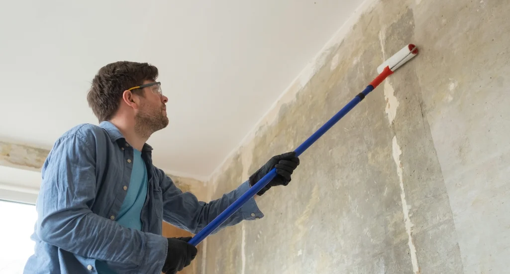 Wall and Ceiling Waterproofing